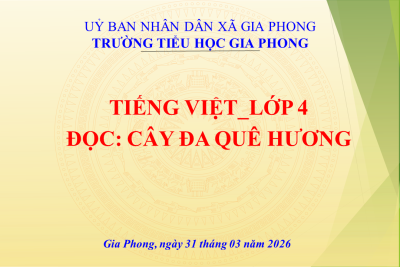 Video bài giảng